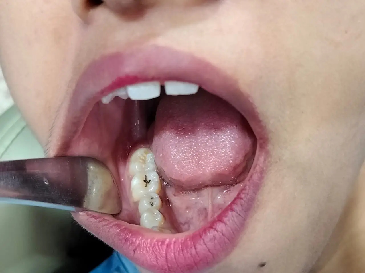 WhatsApp Image 2024-08-30 at 15.03.01_9e3c18fa