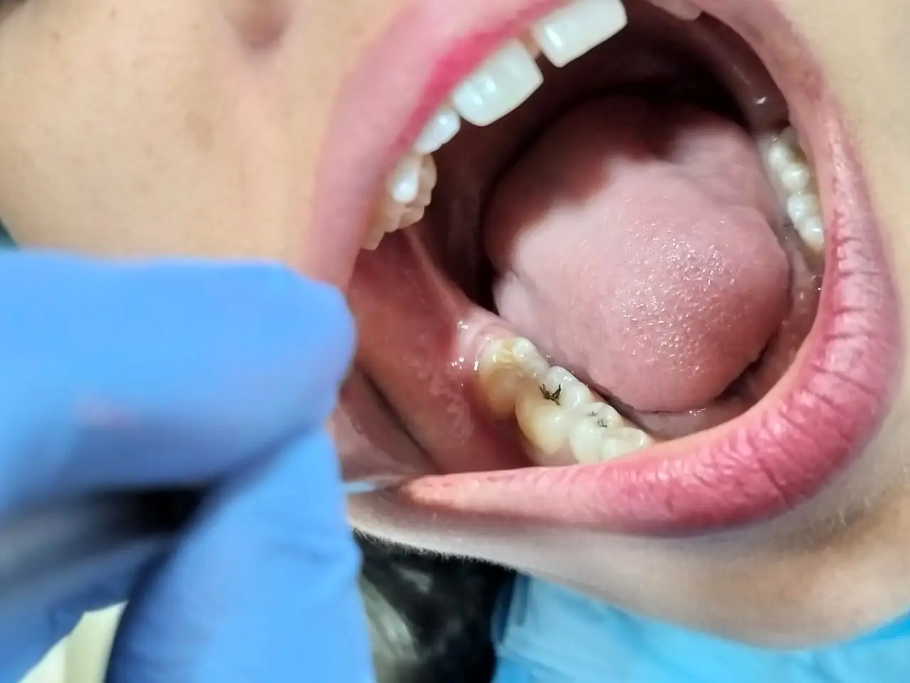 WhatsApp Image 2024-08-30 at 15.03.01_a31dec44